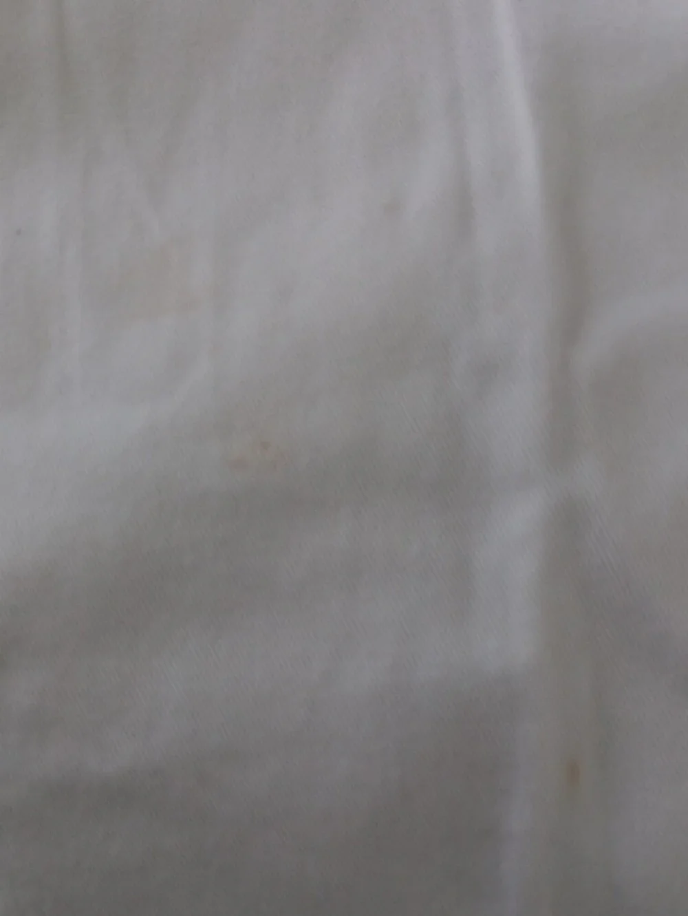 Vintage Chaps Ralph Lauren  White Pleated Cotton Shorts #3837
